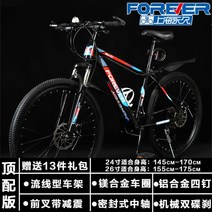 사바파이크 k3 팻바이크 유사브롬톤 풀샥 영국 raleigh 산악 티타늄자전거 mtb 자이언트 inch, 21 속도스포크 휠A, 24인치