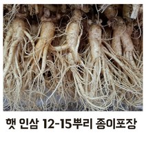 햇인삼 5년근 가정용 인삼 12-15뿌리 전용종이포장