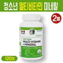 포틴 청소년 멀티 비타민 앤 미네랄 성장기 종합 영양제 칼슘 비타민D 마그네슘 아연 비타민B군 비오틴 셀레늄 주니어 초등 학생 중학생 고등 수험생 복합 기능식품, 2개