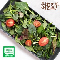 하늘농부 친환경 어린잎 채소 50g, 1팩