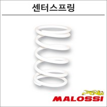 말로시 포르자300 센터스프링 2913316 오토바이 스쿠터튜닝
