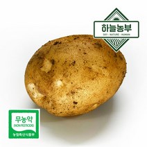 인기 있는 감자최상급국내산 추천순위 TOP50