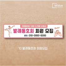 엠블루06 스포츠 배구 테니스 댄스스포츠 발레 요가 골프 피겨스케이트 복싱 폴댄스 축구 생활체육 동호회 회원모집 대회 행사 현수막, 발레동호회회원모집