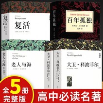 중국어소설 중국어원서 중국소설 삭제 없는 전체 번역 부활의 책 정품 원본 레오 톨스토이 고전 세계 유명 외국 문학 소설의 중국어 버전 작은 중학교 과외 독서 책 읽기 Top, 부활 + 데이비드 코퍼필드 + 백년의 고독 + 노