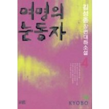 여명의 눈동자 4, 남도, 김성종 저