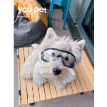 강아지고글 모자 고양이 썬캡 헬멧 고글 옷걸이 커플룩 중형견옷 봄옷 애견의류 애견, 02. 블랙 투명 모델