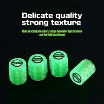 밸브캡 닛산 GTR 주크 Qashqai 패트롤 리프 X-트레일 미크라 센트라 알티마 용 자동차 타이어 밸브 캡 야, 01 Green