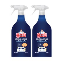 LG생활건강 홈스타 주방용 세정제 750ml x 2개