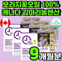 보라지유 지엘에이 감마 리놀렌산 40대 엄마 선물 혈행 개선 캐나다 직수입 여성 보조제 호르몬 자궁에 좋은 보라지꽃 종자유 50대 오메가6 식물성 캡슐 월경 여자 중년 영양제 추천