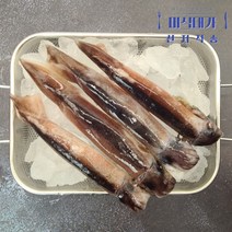 국산 선동 초코 오징어 1kg 6-7미 오징어숙회 오징어통찜, 초코오징어(선동급냉) 1kg(6-7미) x 5팩