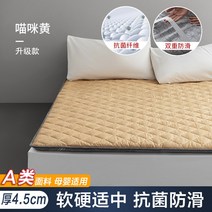 폭신한 매트리스 푹신 편안한 가성비 꿀잠 가정용 다다미 매트리스 보호 매트 학생 기숙사 접이식 패딩 매트리스 싱글 렌탈 룸 특수 매트 이불, 60x120cm [스트랩 없는 아동용 매트리스], C