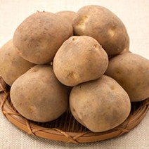 [7월12일순차출고][G]강원도 화천 햇감자 5kg