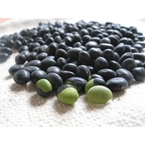 유기농(Organic) 서리태 - 예랑햇살농장., 1KG