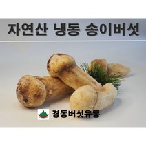 자연산 냉동 송이버섯 1KG / 경동버섯유통, S
