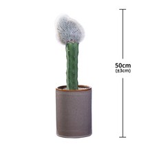 [서울/경기배송] 밍크 선인장 화분 50cm