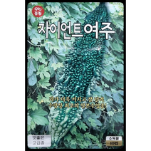 자이언트 여주씨앗10립 KS종묘, 1개