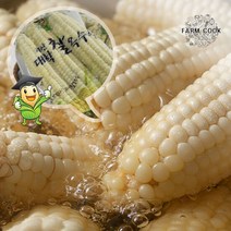 [팜쿡]괴산 삶은 대학찰옥수수 냉동 15개(팩당3개), 단품