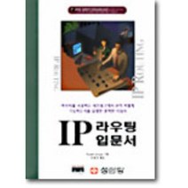 IP 라우팅 입문서, 성안당