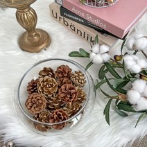 베듀하우스 솔방울 크리스마스 트리오너먼트 트리꾸미기 겨울 테이블 장식 천연 가습기, 6. 스노우 솔방울 1 box (약 18개)