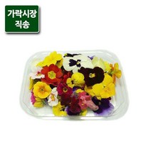 가락시장직송 식용꽃 1팩약30-35송이, 없음