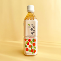 오늘도 꾸지뽕 잎차 500ml 24병 수제 침출차 음료, 없음, 24개