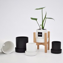 무광 원형 화분 8cm 10cm 11cm (3가지 사이즈) 우드스탠드(추가 옵션) + 무료 상품 6가지, 08.11cm_화이트 + 우드스탠드(2호)