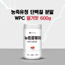 유청단백질 분말 WPC 농축 유청 프로틴 파우더 쉐이크 필수 아미노산 류신 분말 가루 헬스 보충제 미국산 포대유청 농축유청 단백질 추천 초코맛 딸기맛 식사대용 여성 남성, 15일분 1통 스푼동봉(딸기맛), 1개