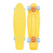 PENNY skateboard (페니 스케이트 보드) 27inch CLASSICS HIGH VIBE