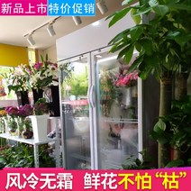 꽃 냉장고 쇼케이스 캐비닛 냉장 디스플레이 단일 더블 3 도어 가게 신선 보관 공냉식 꽃다발 냉동고, [11] 특별한 모양의 맞춤형 모델 자세한 내용은 고객