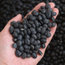 국산 검정콩 검은 서리태 메주콩 팥 들깨, 메주콩 1kg, 1개