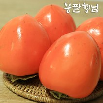 대봉감 5kg 14~16과 곶감용 전라도 제철과일, 없음