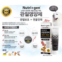 관절 보호 연골 강화 도움 노령견 영양제 애견관절영양제