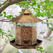 AOHAO 야외 발코니 걸이식 먹이기 bird feeder 새 모이통, 골드