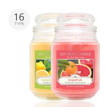 THS 더허브샵 소이캔들 유리병타입 대형 567g 16종택1THS 더허브샵 소이캔들 유리병타입 대형 567g 16종택1EA106153, 쿠팡 시트로넬라03696