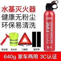소방용품 차량용품 세트 차량용 긴급 화재진압 휴대용 미니 분말 차 co2 투척용 가정용 자동차 소방기구 반자동소화장치 비상용품 캠핑용, 단일사이즈, A+고정벨트+럭셔리 3종세트