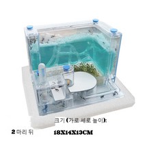 개미집 굴 개미키우기 관찰 사육장 군체 여왕 기르기, 개미 제국