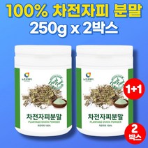 인도산 차전자피 분말 차전자차 차전차 불용성 수용성 식이섬유 차전자씨 식이섬유소 차전 질경이 가루 파우더, 2박스