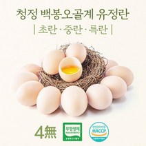 강원도 청정 백봉오골계 유정란 초란 (무항생제 HACCP 인증), 중란 40구