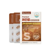 뉴트리가든 - 프리미엄 위건강 헬리코박터케어 600mg x 30정 (총 18g), 1개, 60정