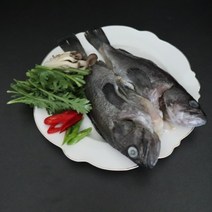 국내산 손질 통 우럭 600g 3~4인분 매운탕 소스 포함 우럭 매운탕 지리탕 조림 구이 찜용