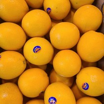 [백화점납품] 고당도 특1등급 메이블 오렌지 로얄과 5kg 항공직송 프리미엄 과일 병문안 인사선물