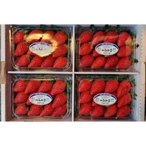 최상급 특1등급 설향딸기 500g 1kg 2kg / 가락시장 산지직송, 특1등급 1.5kg