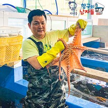 지니몰 자연산 신선한 활문어 문어 돌문어 자연산돌문어 1kg 항구