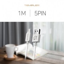 케이블 핸드폰 5핀 고속충전 1m, 템플러 TD1000 화이트