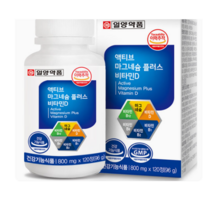 일양약품 액티브 마그네슘 플러스 비타민D 120정(총4개월분) 비타민B12 비타민B6 비타민B1 비타민B2 영양제, 2개