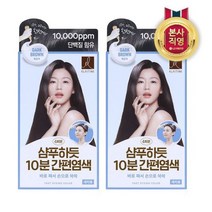 [LG생활건강] 엘라스틴 샴푸하듯 10분 간편염색 80g 흑갈색, 2개