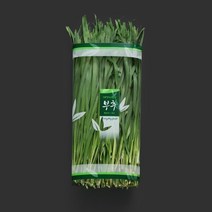 태방파텍 포장용기 C-42 [부추] / 야채포장지 식품포장재 채소봉투 채소필름 야채봉투