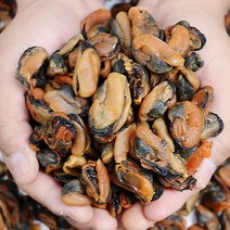 마른홍합 홍합제철 홍합 건조홍합 건홍합, 건홍합 500g, 1개