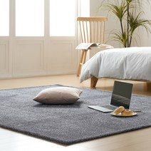 더블유에스컴퍼니 물세탁가능 먼지없는 샤기 사계절 거실 사각 카페트 10mm