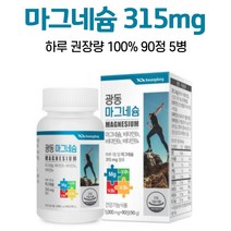 마그네슘 영양제 비타민b 1일 영양성분 기준치 100% 충족 마그네숨 알약케이스 증정, 5병, 90정